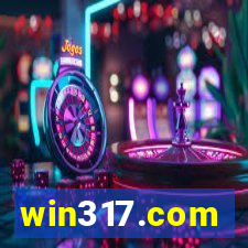 win317.com