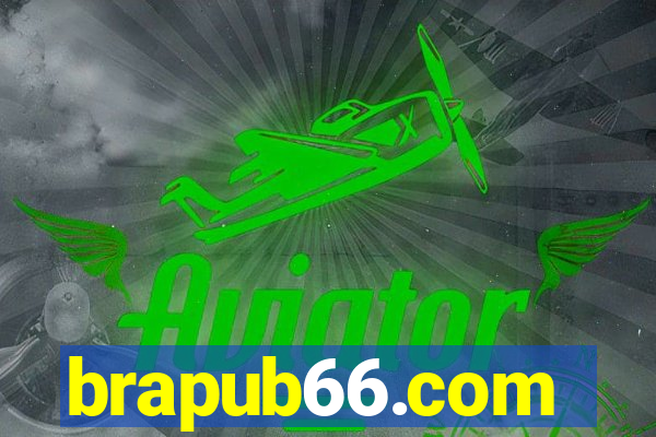 brapub66.com