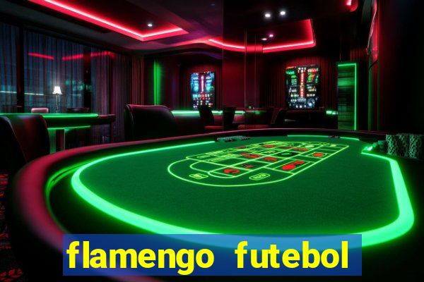 flamengo futebol play hd