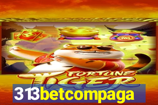 313betcompaga