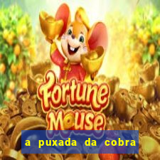 a puxada da cobra no jogo do bicho