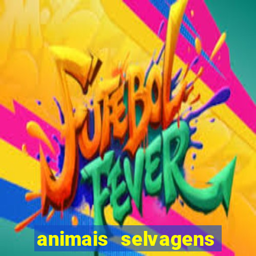 animais selvagens fotos e nomes