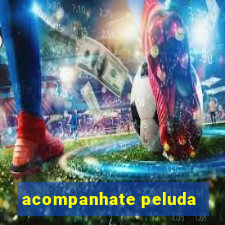 acompanhate peluda