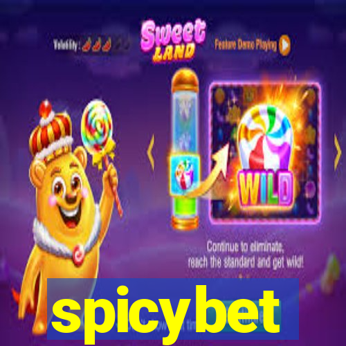 spicybet-2.com