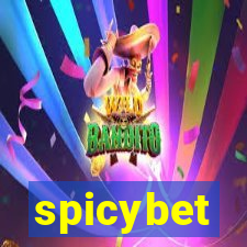 spicybet-4.com